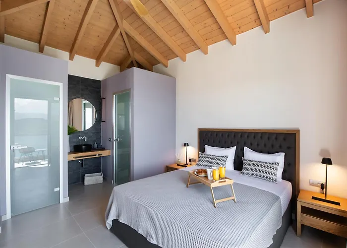 Highview Luxury Vilă *